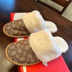 Coach Slippers